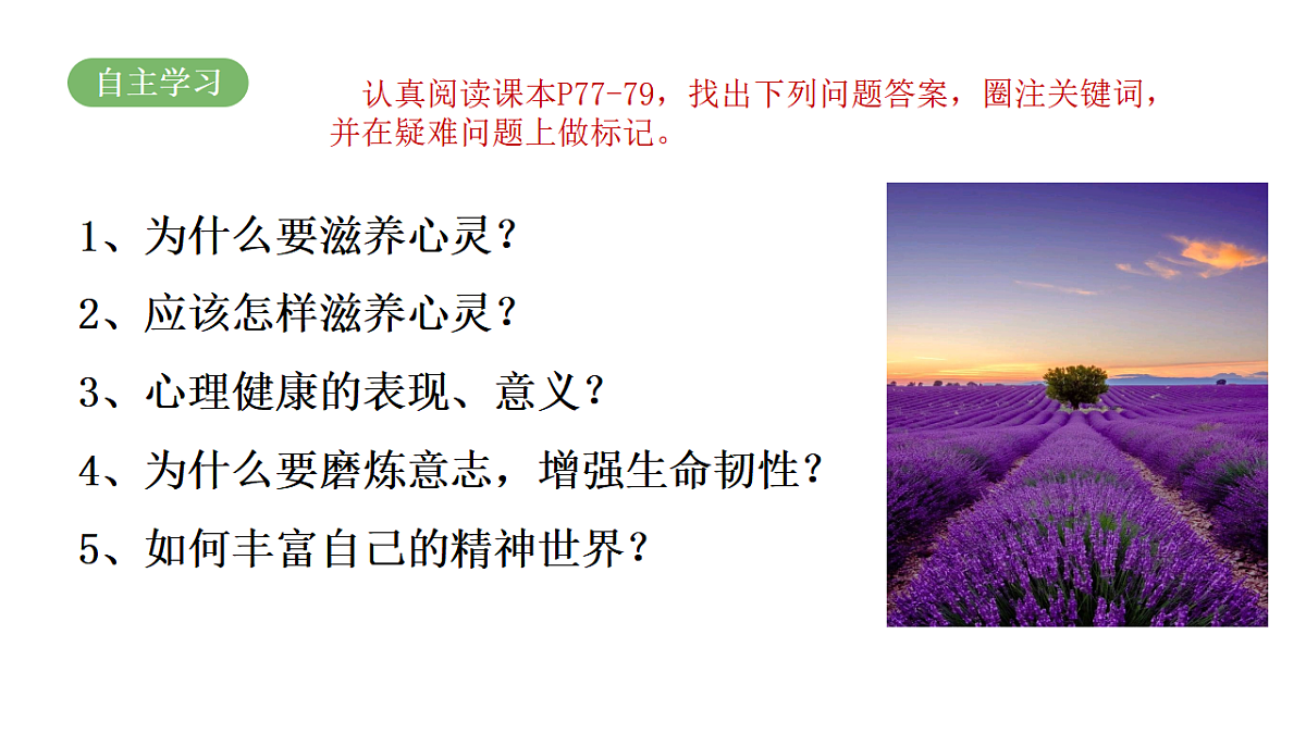 17592423第4页