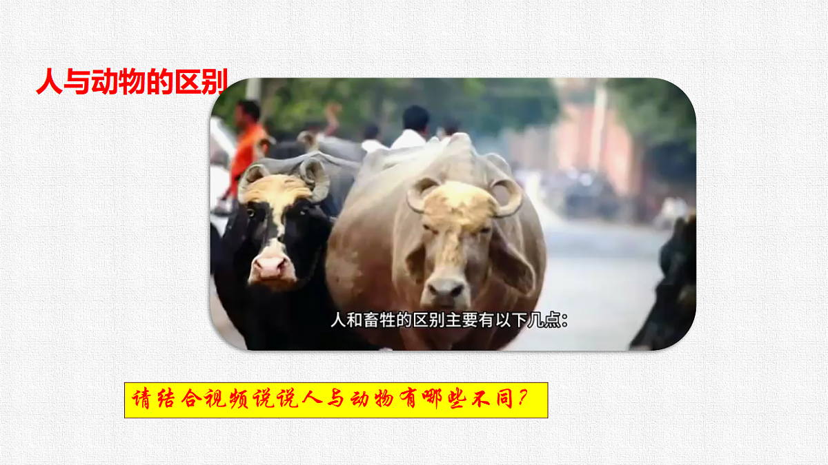 17592429第6页