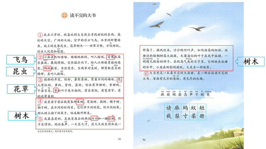 统编版语文三年级上册 22 读不完的大书 课件-课件下载-教习网