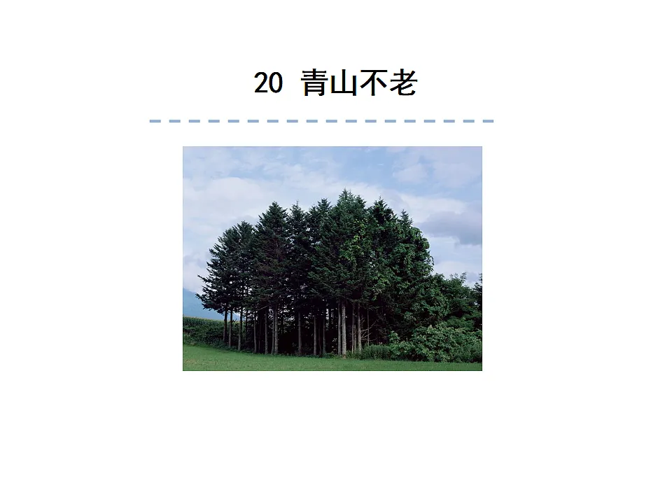 17592984第1页