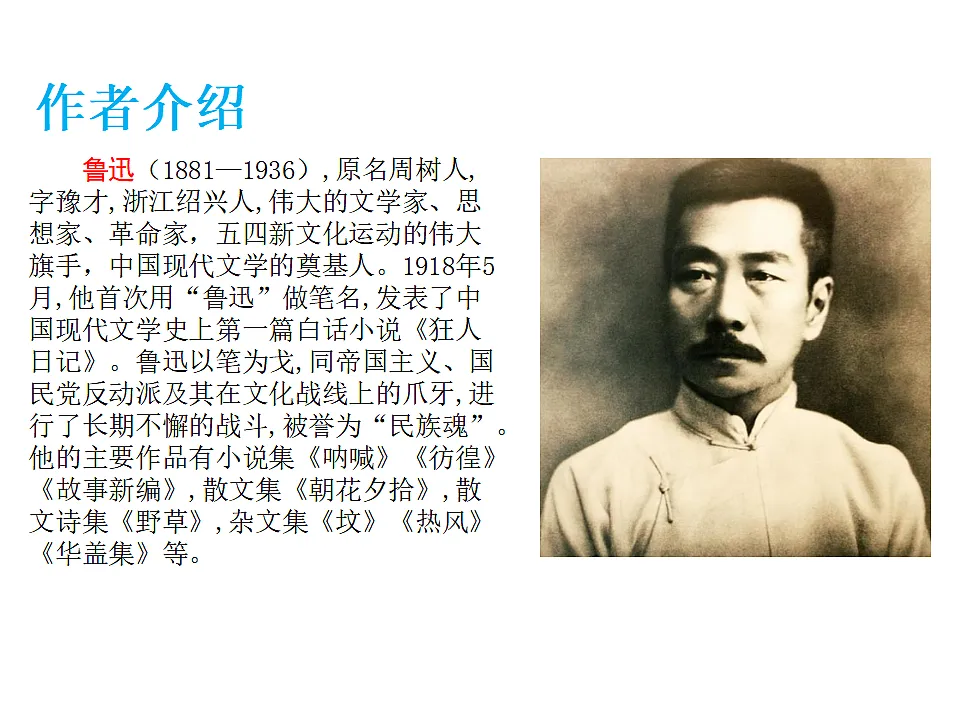 17592986第3页