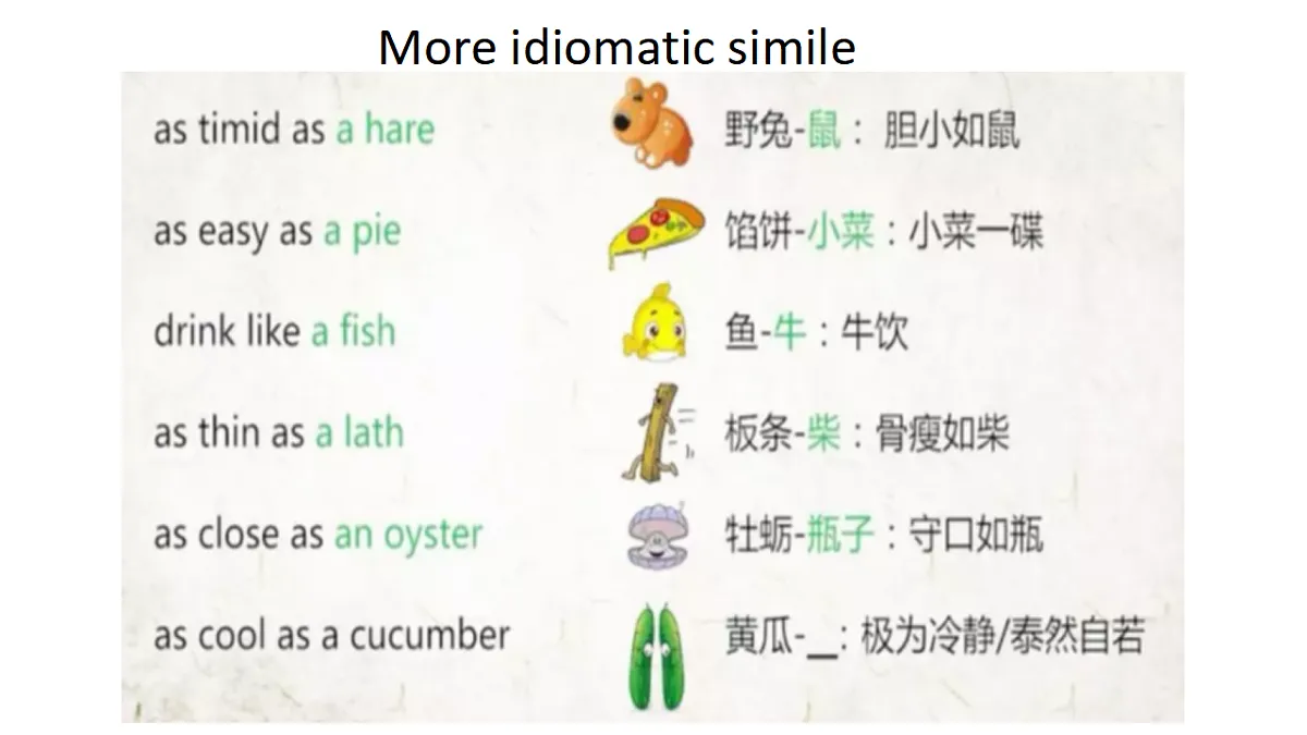 17593267第6页