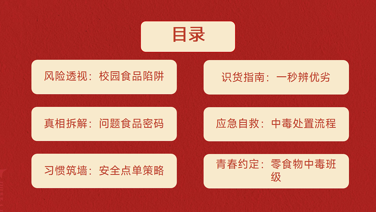 17593281第2页