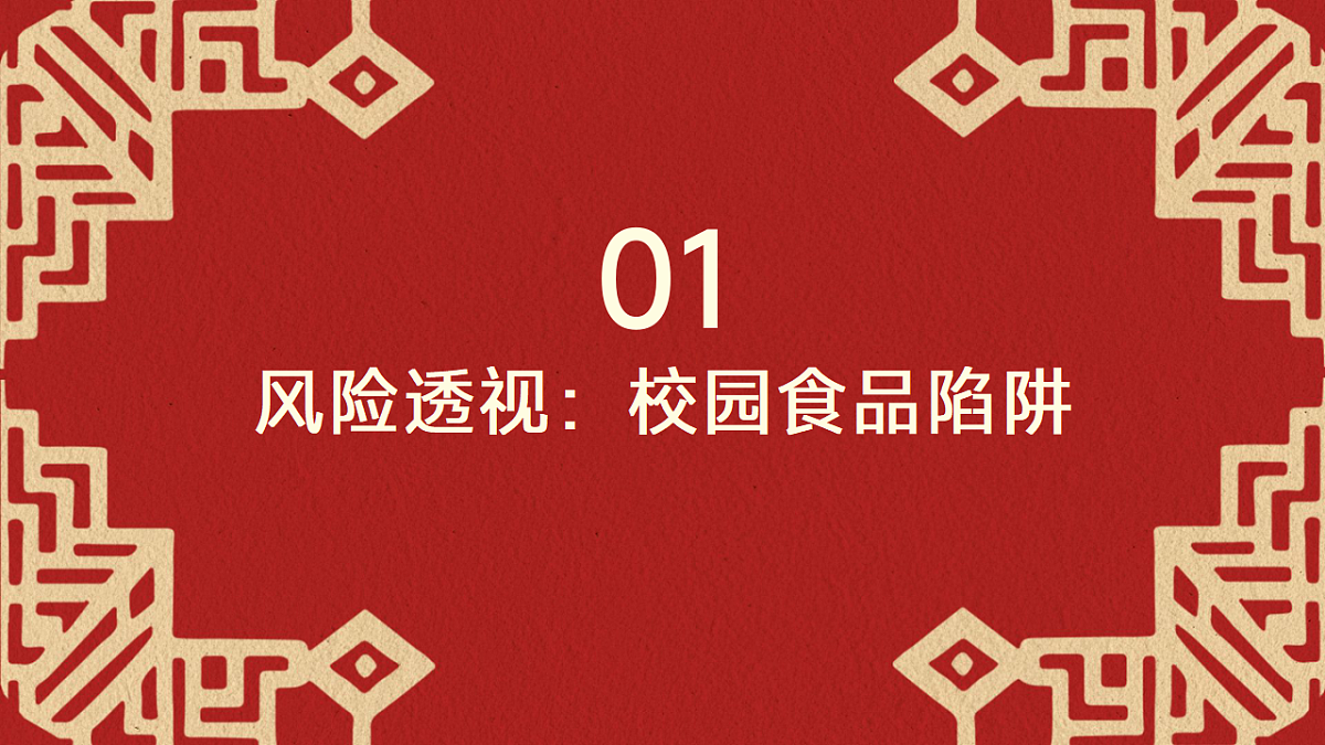 17593281第3页