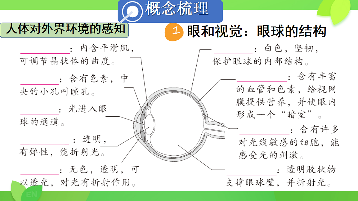 17593571第3页