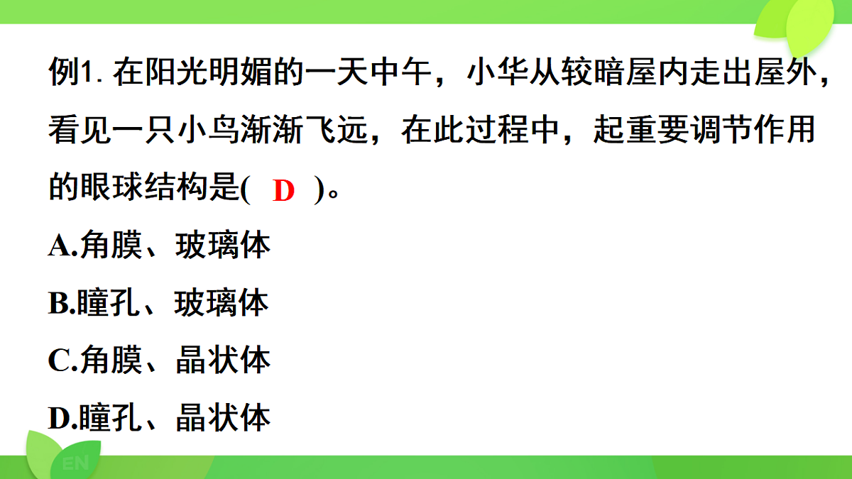 17593571第5页