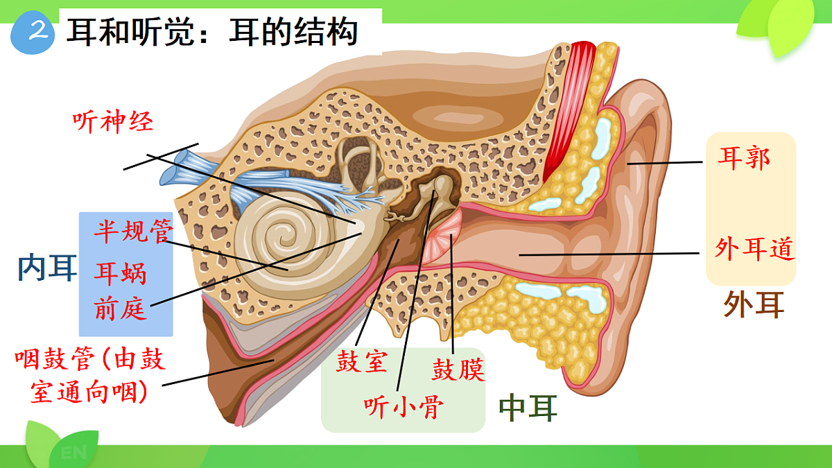 17593571第6页