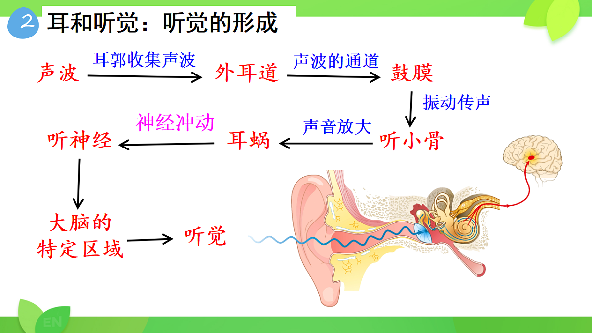 17593571第7页