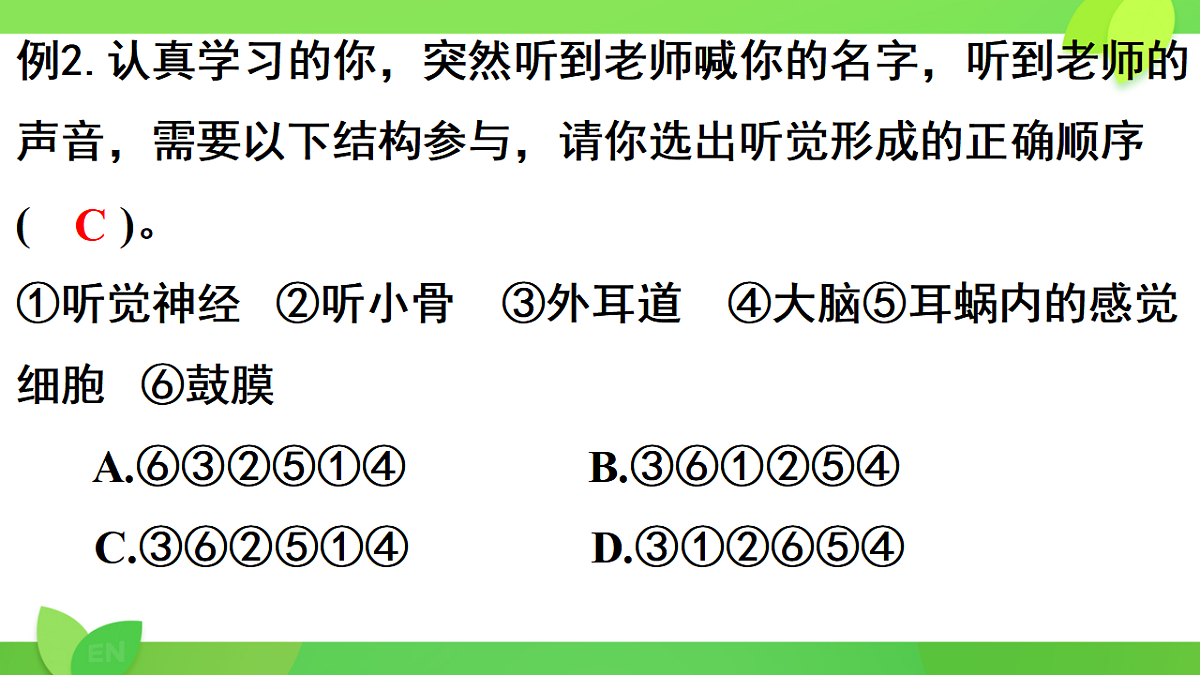 17593571第8页
