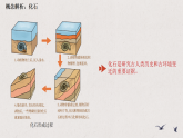 统编版（五四制）中国历史第一册 1.1远古时期的人类活动 课件