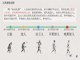 统编版（五四制）中国历史第一册 1.1远古时期的人类活动 课件