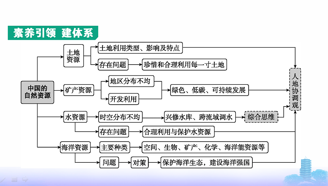 17596006第2页