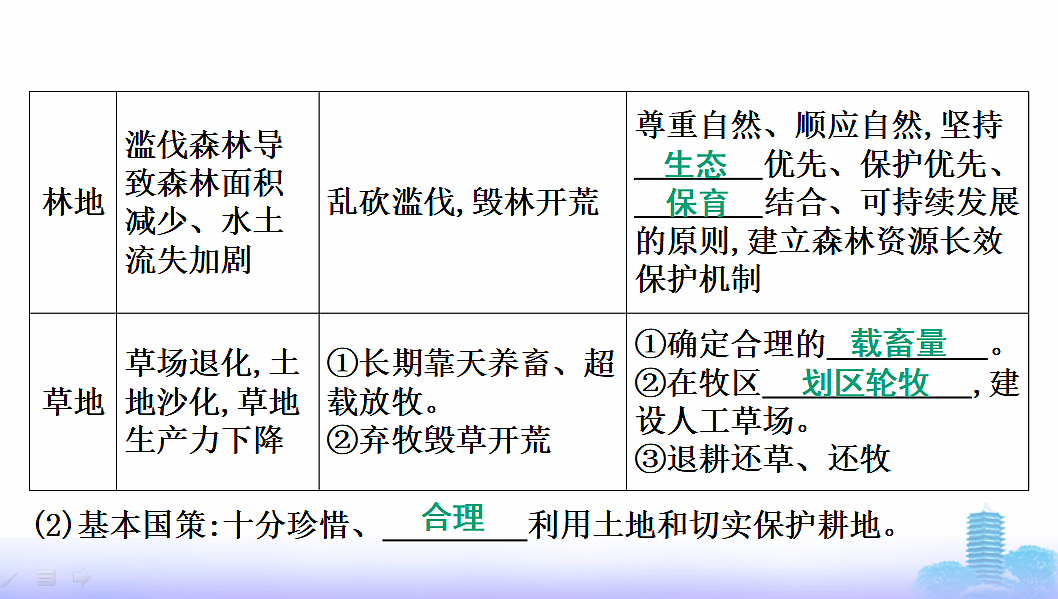 17596006第7页