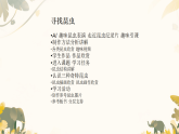 4.2 寻找昆虫 课件 2025-2026学年湘美版（2024）美术一年级上册