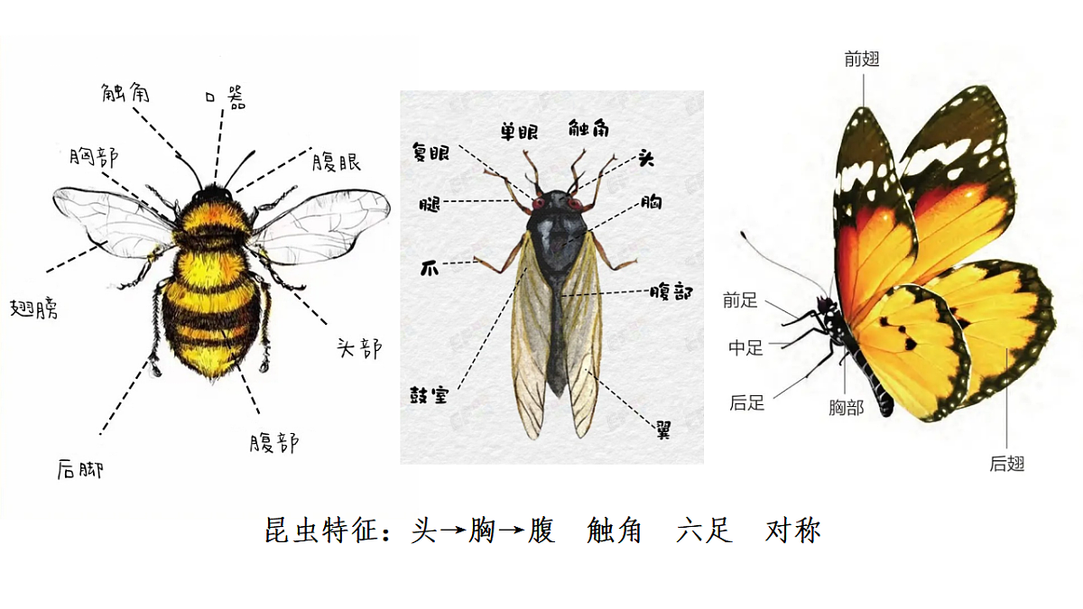 17596009第7页