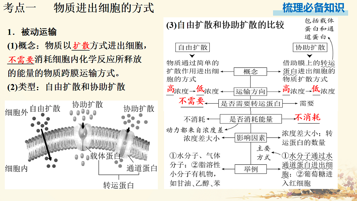 17596062第3页