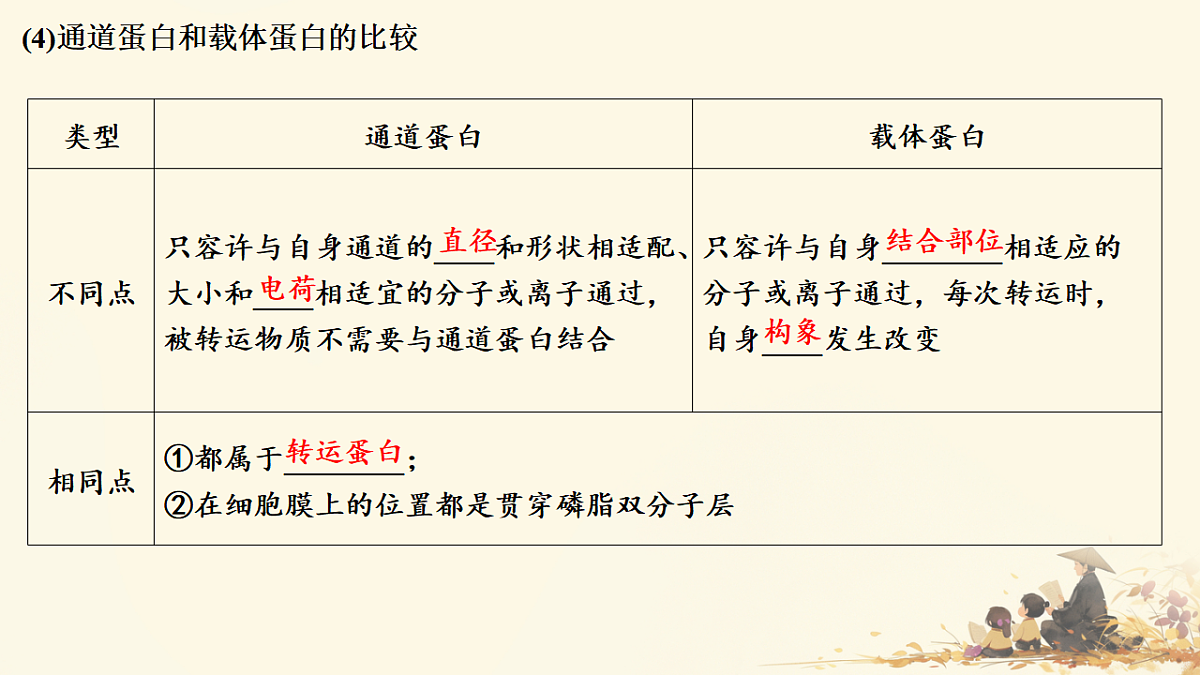 17596062第4页