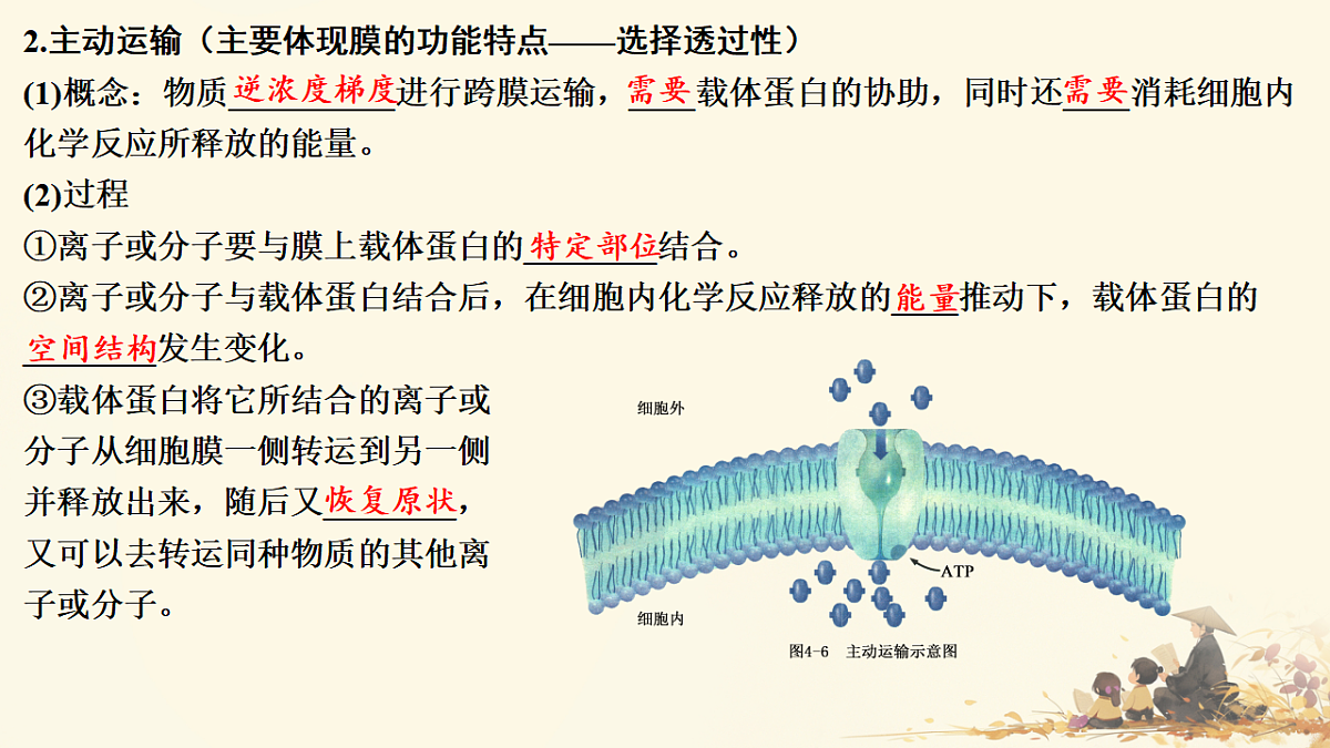 17596062第5页