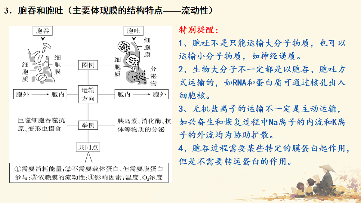 17596062第7页