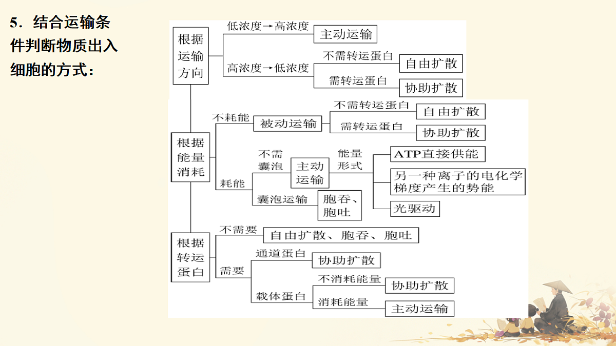 17596062第8页