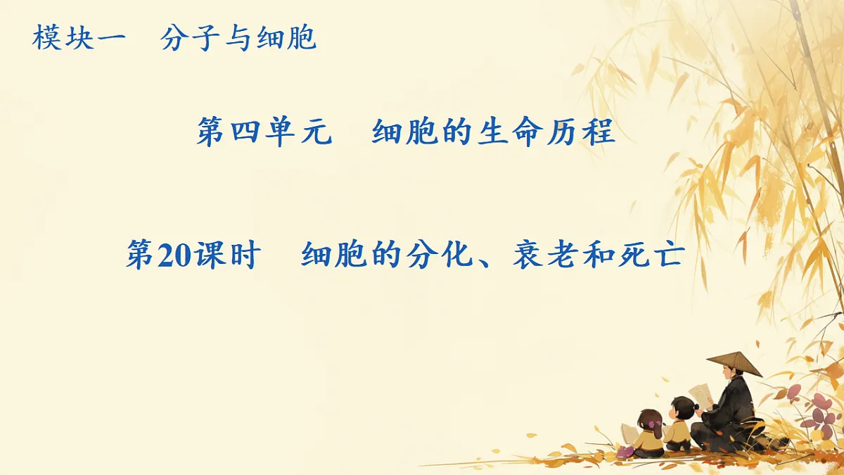 17596064第1页