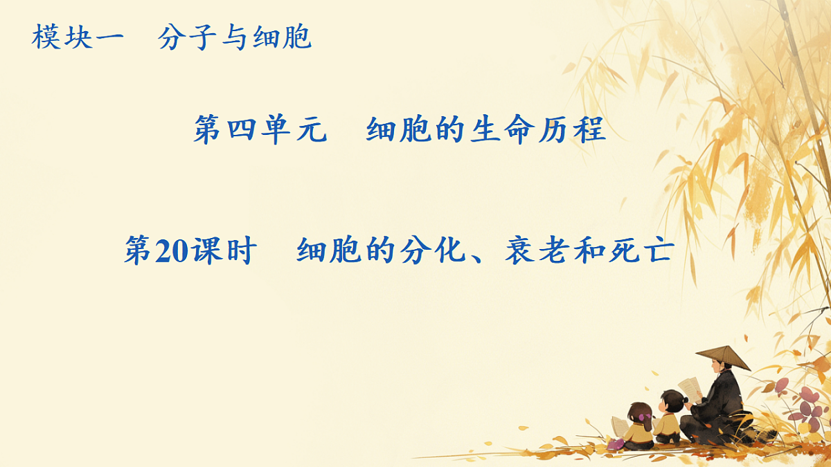 17596064第1页
