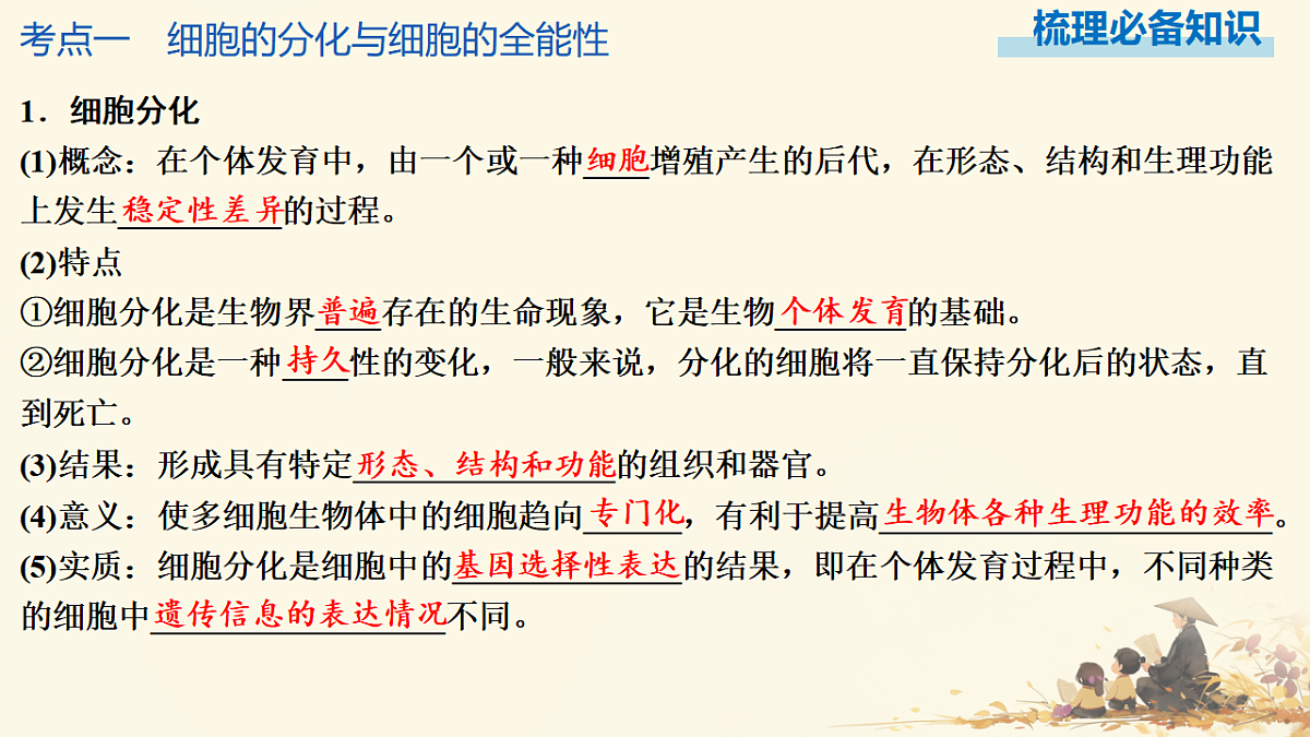 17596064第3页