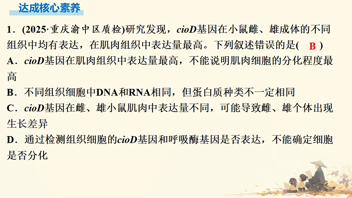 17596064第6页