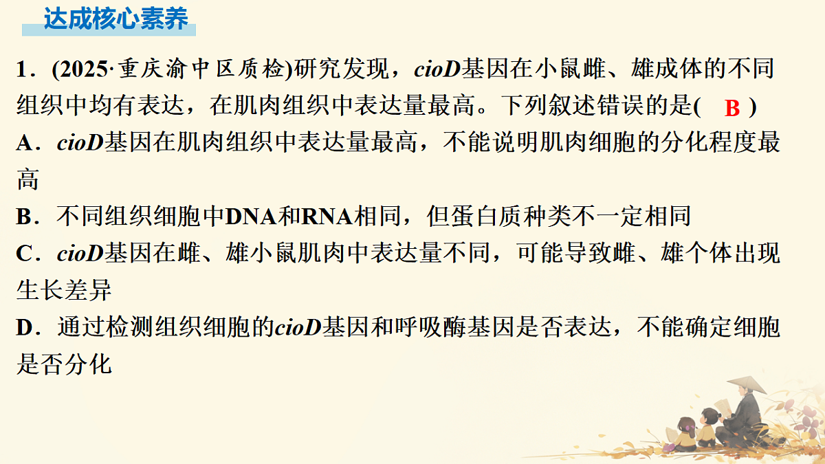 17596064第6页