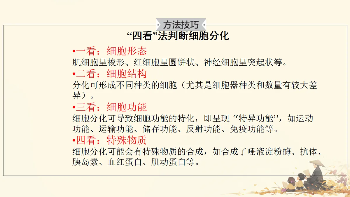 17596064第8页