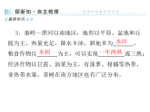 4.1 农业与科技兴农  2025-2026学年地理粤教粤人版八年级上册习题课件（有答案）