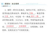 4.1 农业与科技兴农  2025-2026学年地理粤教粤人版八年级上册习题课件（有答案）