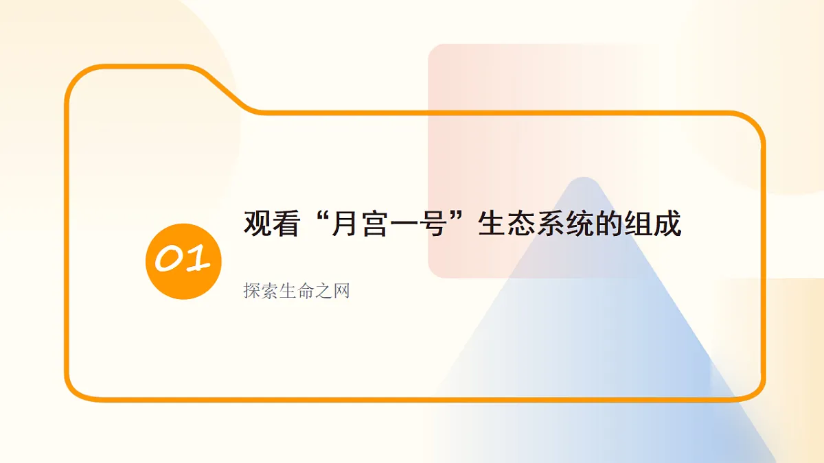 17596768第3页