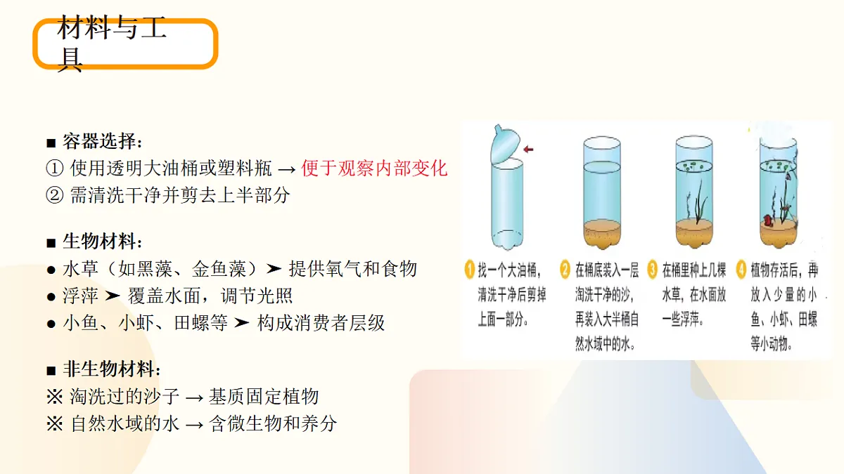 17596768第7页