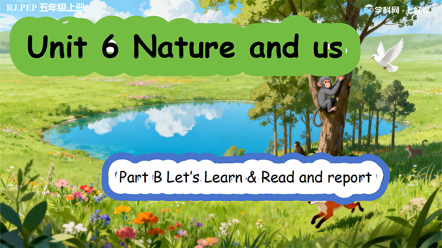 Unit 6 第5课时 Part B Let’s learn&Read and report(教学课件) 第1页