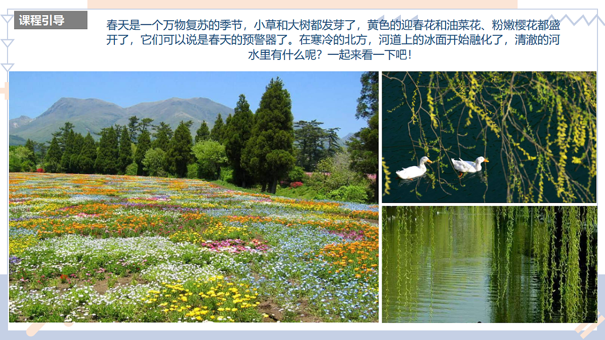 17598057第3页