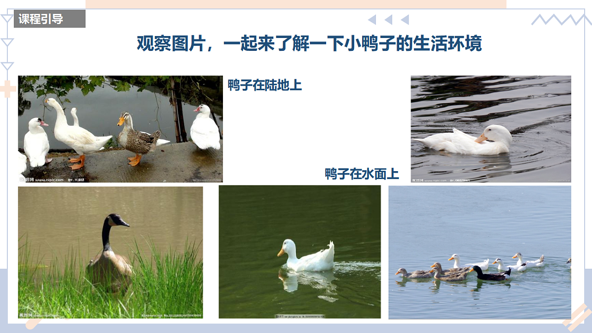 17598057第5页