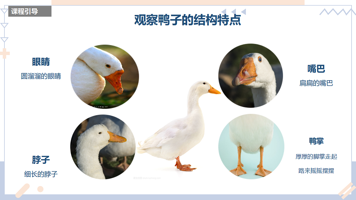 17598057第6页