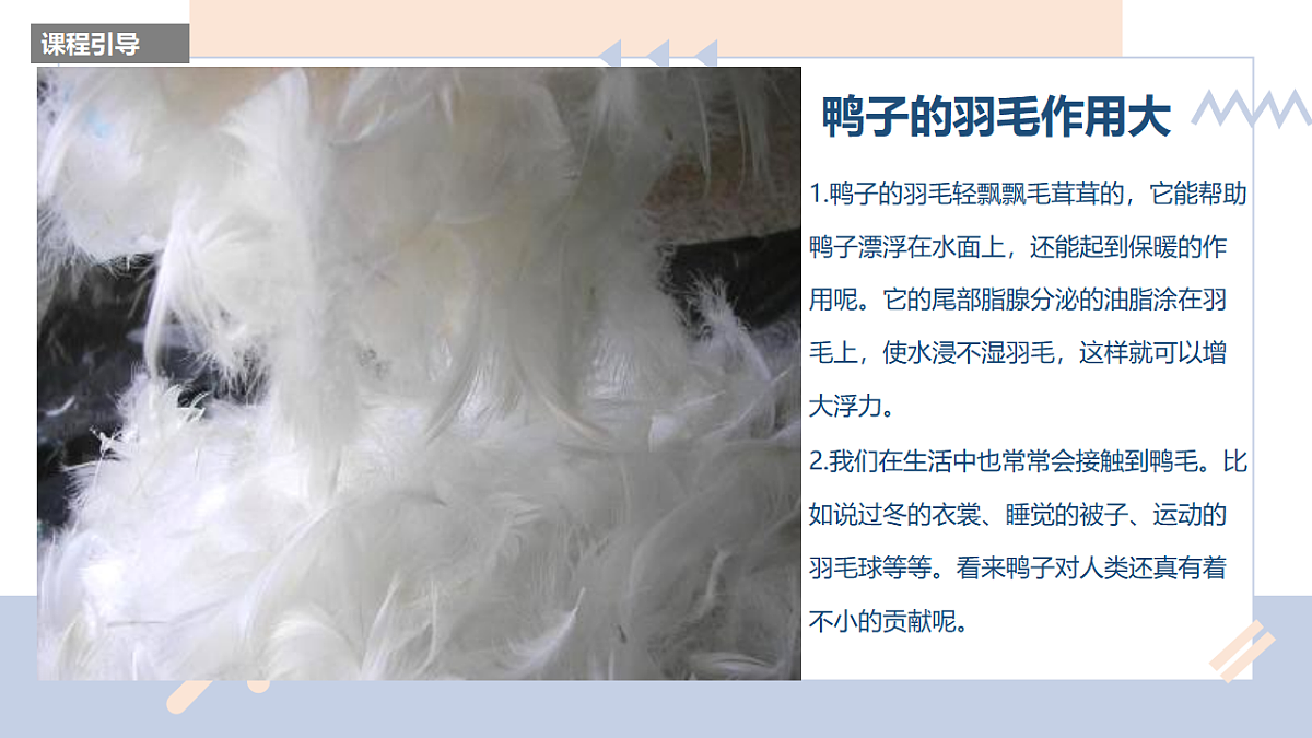 17598057第8页