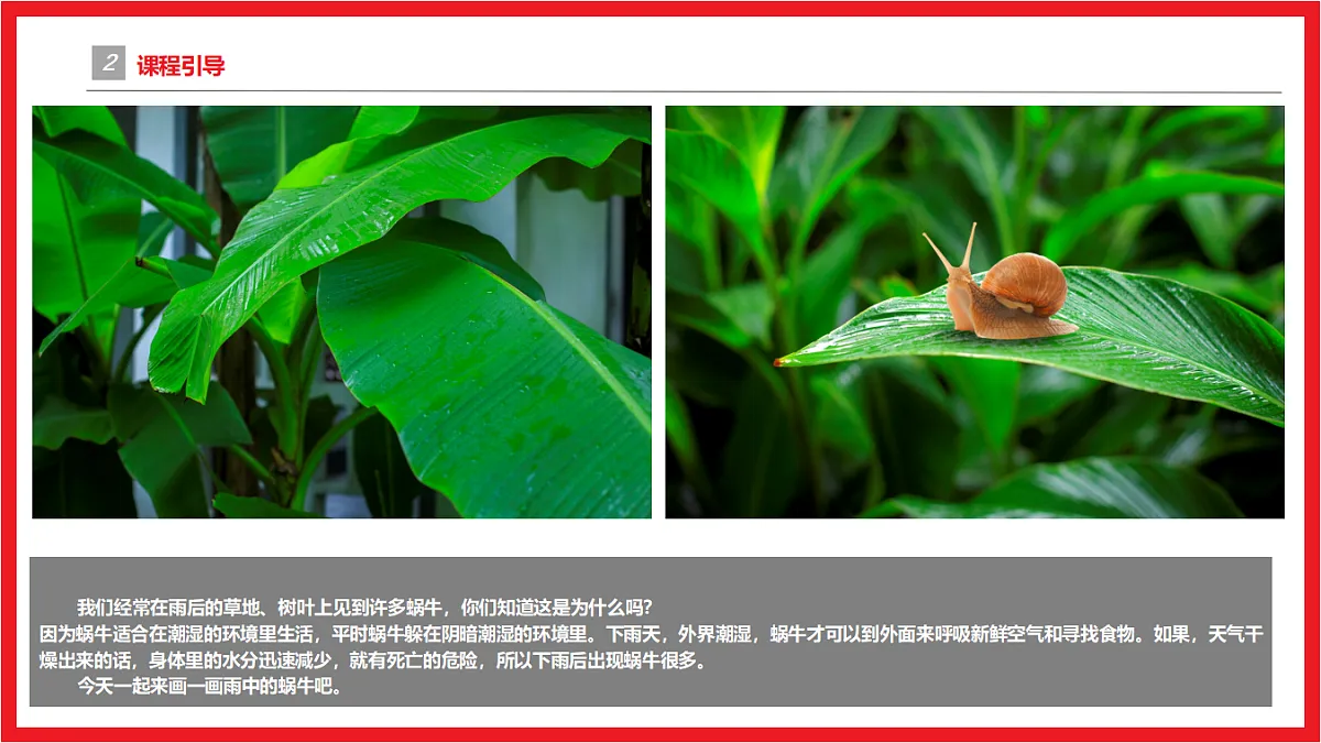 17598105第5页