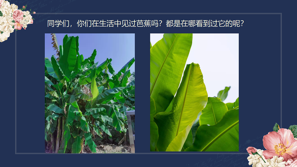 17598129第6页