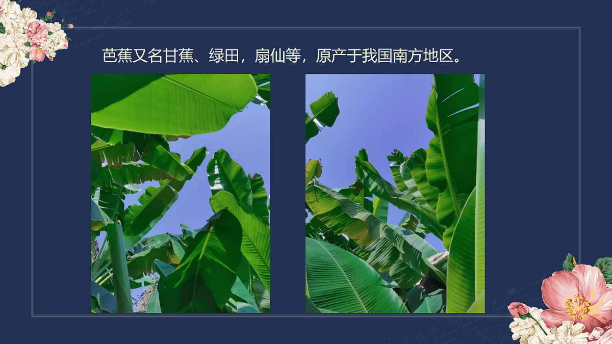 17598129第7页