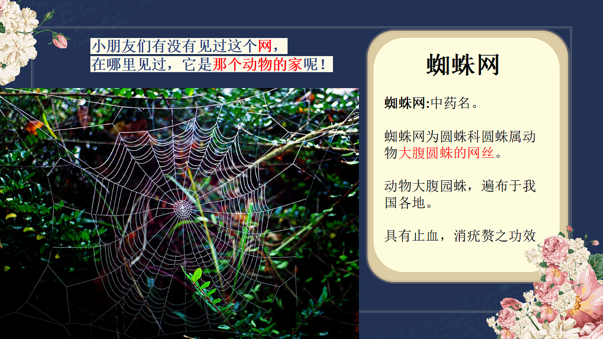 17598130第6页