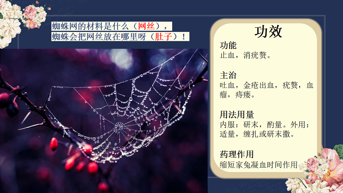 17598130第7页
