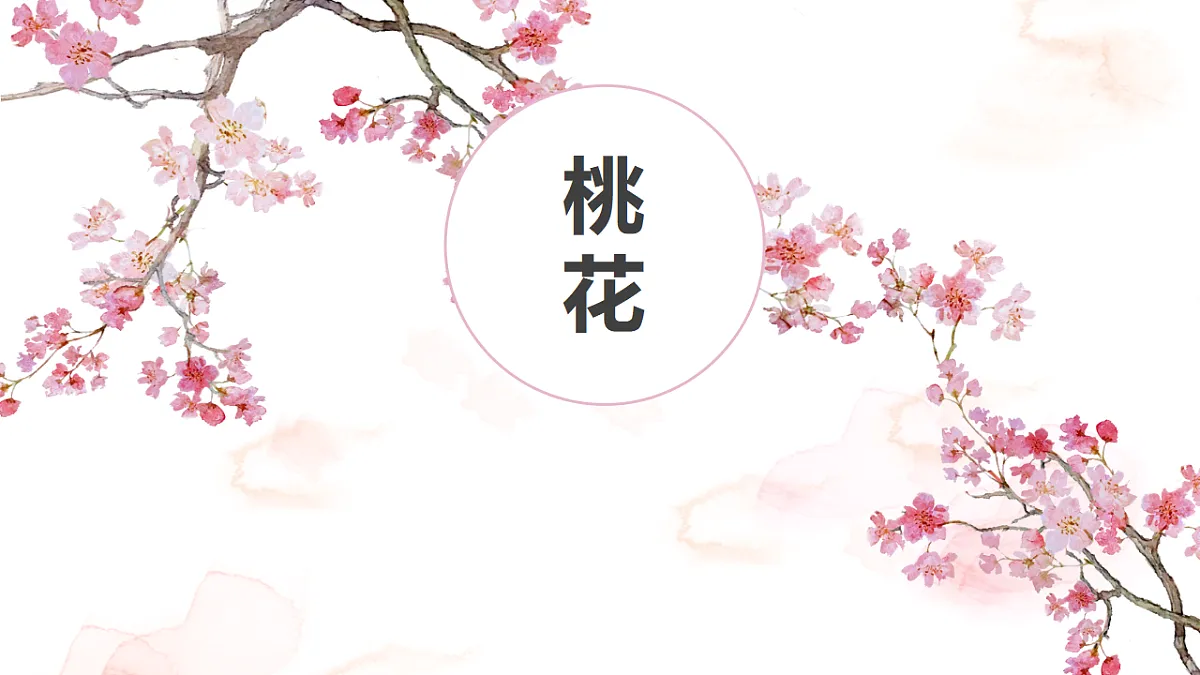 17598145第1页
