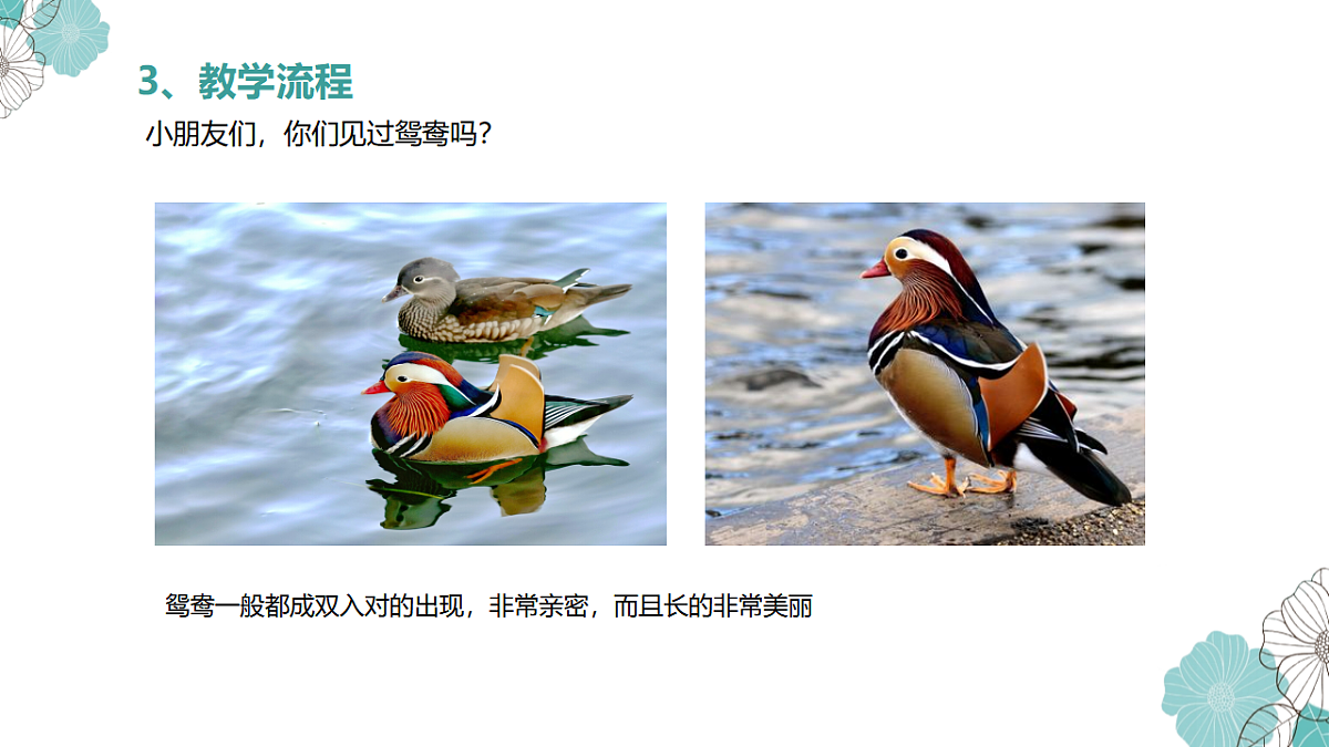 17598147第8页