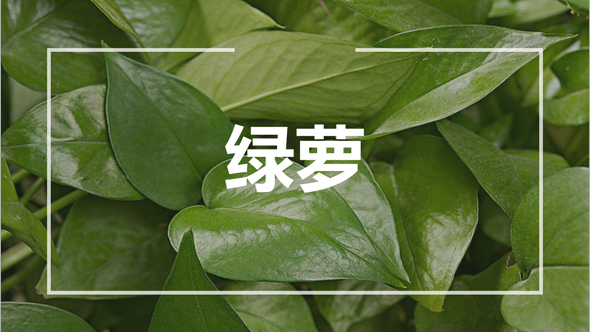 17598148第1页