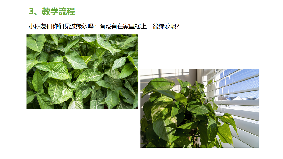 17598148第7页