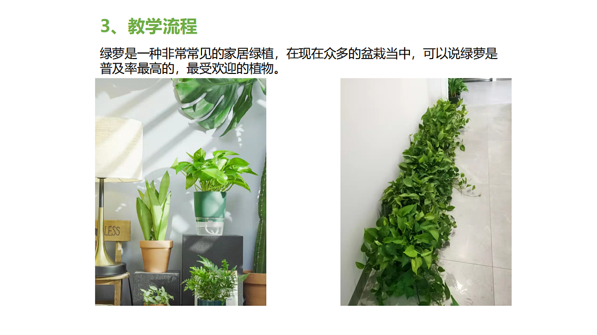 17598148第8页