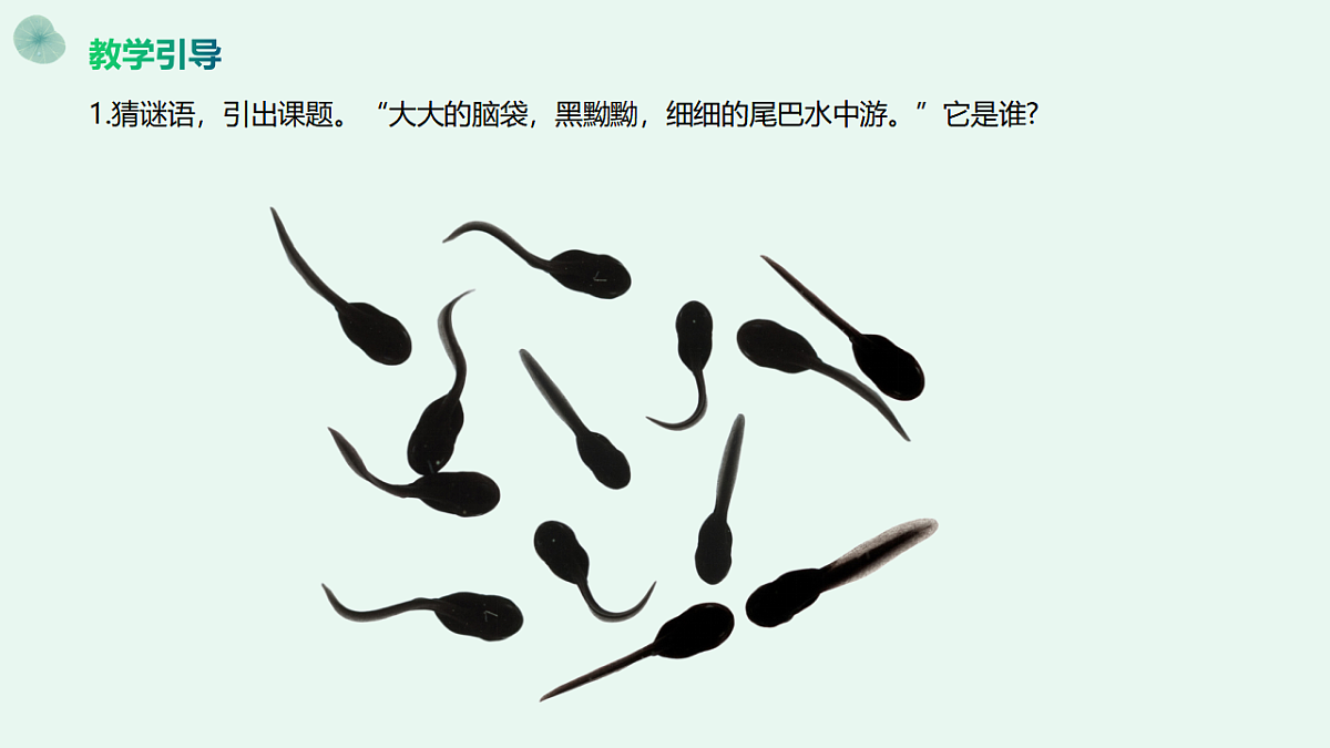 17598150第8页